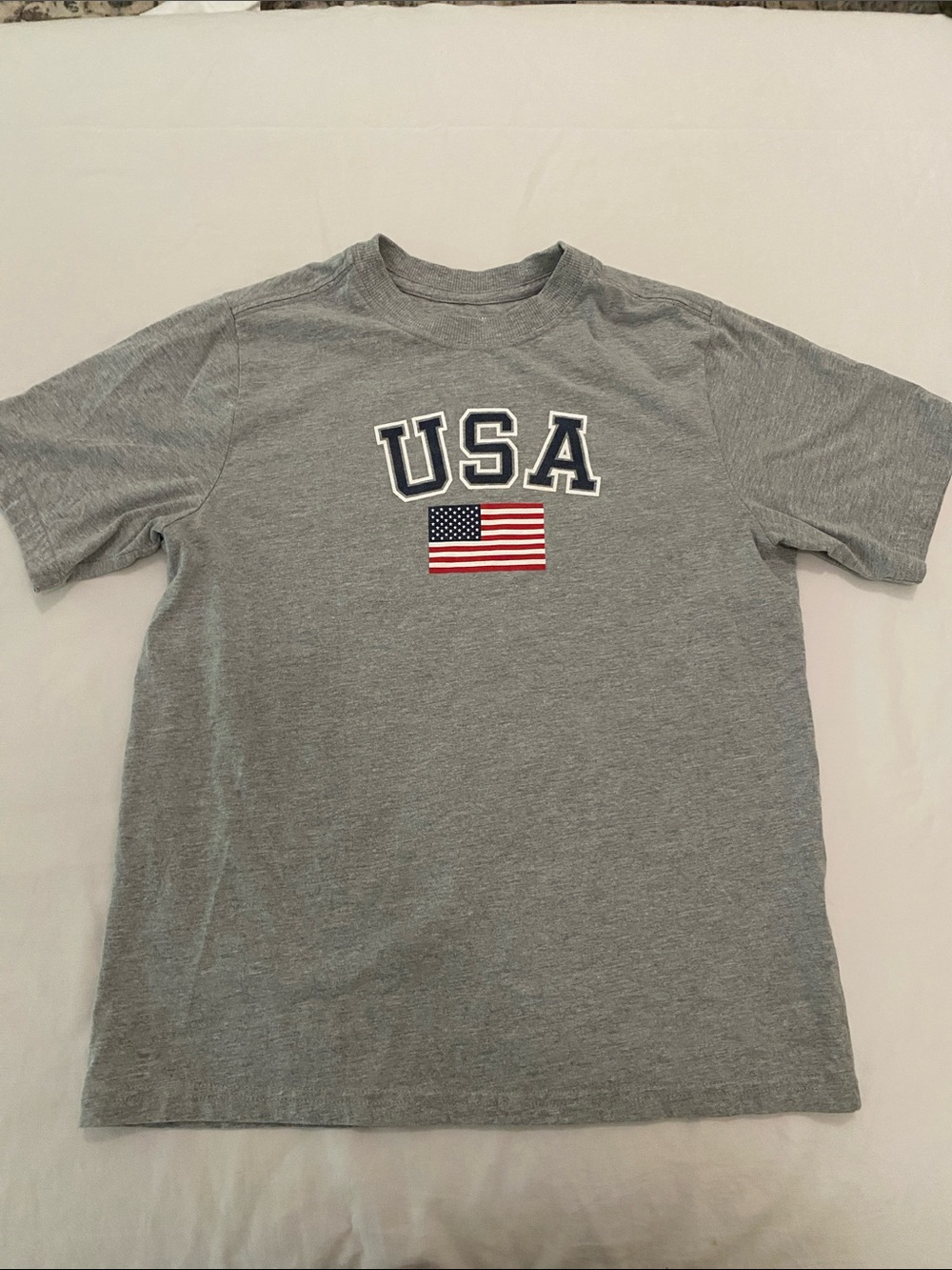 USA Flag Graphic Men's Gray T-Shirt